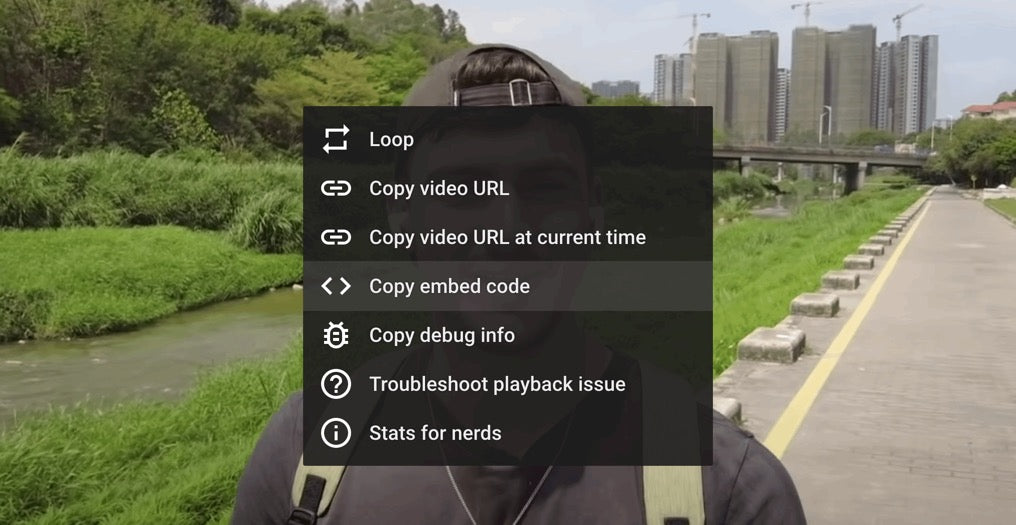 Find Video Source